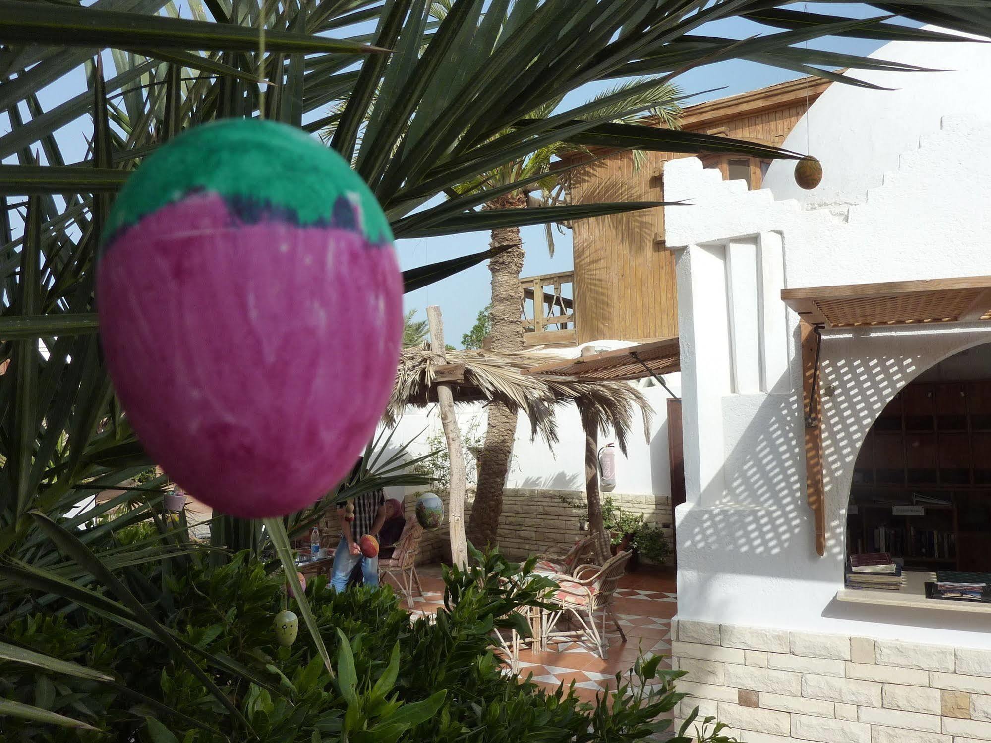 Inmo Divers Home Νταχάμπ Εξωτερικό φωτογραφία