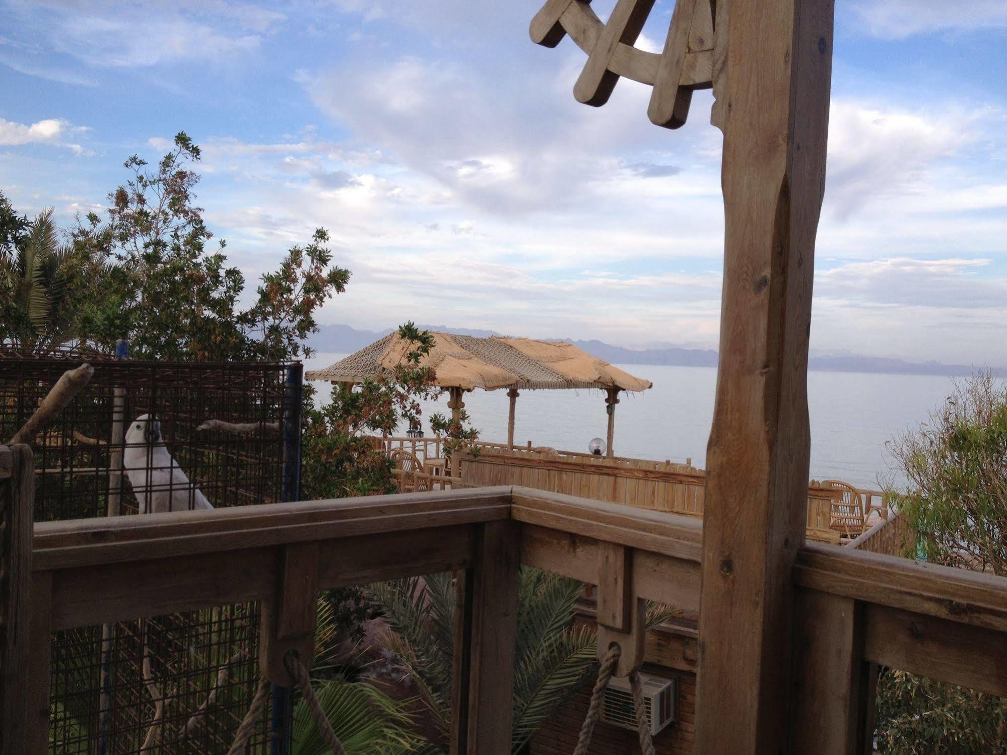 Inmo Divers Home Νταχάμπ Εξωτερικό φωτογραφία